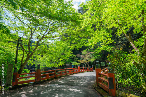 京都　神護寺の高雄橋と新緑