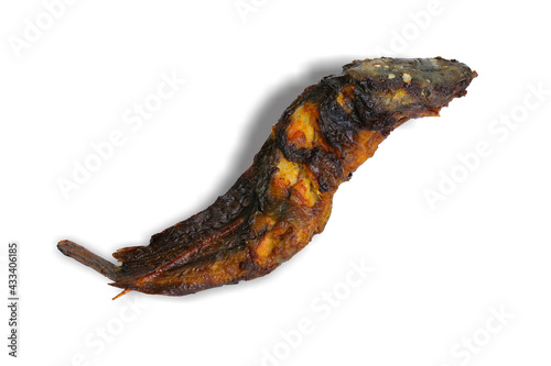 Grilled catfish isolated on white background. This has clipping path. 