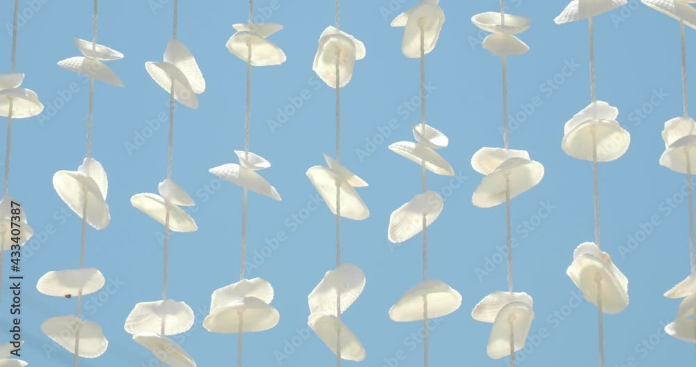 Sea shell chimes