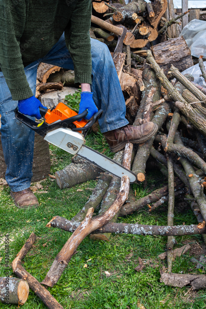 Preparing firewood for the winter, cherry logs piled in a heap in the yard, a farmer sawing a log with a chainsaw Preparing firewood for the winter, cherry logs piled in a heap in the yard, a farmer sawing a log with a chainsaw