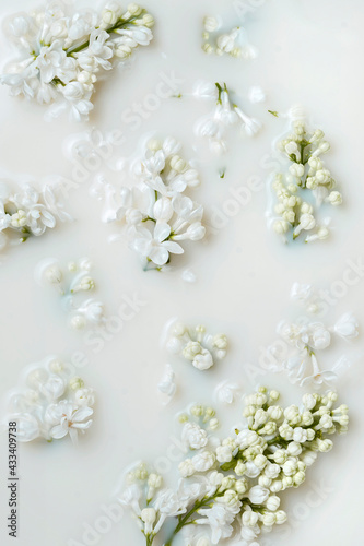 Fototapeta Naklejka Na Ścianę i Meble -  white lilac in milk, abstract floral background
