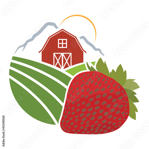 barn and strawberry, agriculture related vector