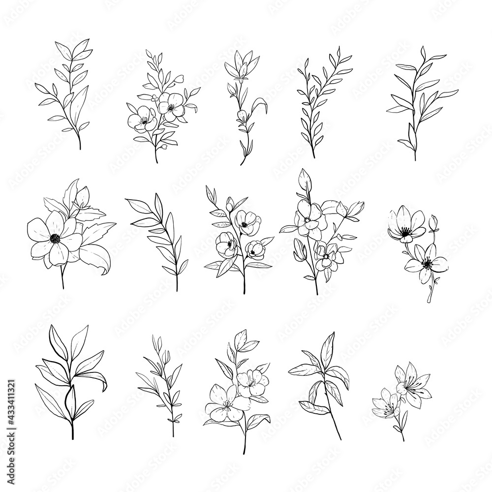Set of hand-drawn floral elements, plants and flowers. Isolated branches on a white background. 
