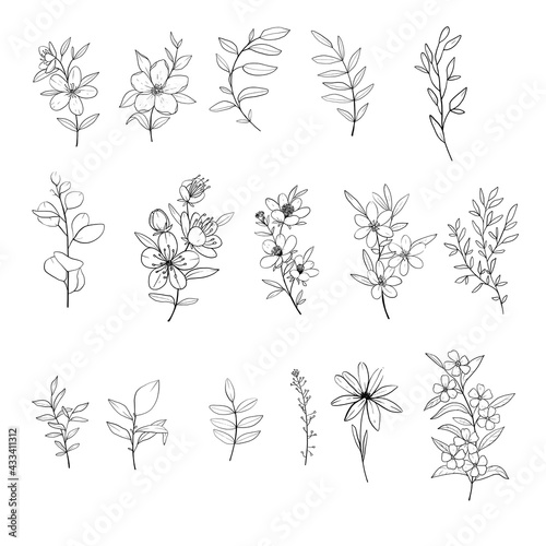 Set of hand-drawn floral elements  plants and flowers. Isolated branches on a white background. 