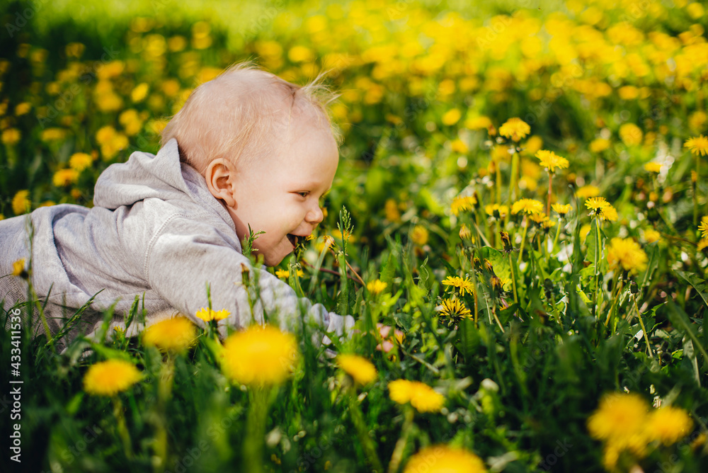 Little happy smiling kid crawls through the meadow with dandelions.
