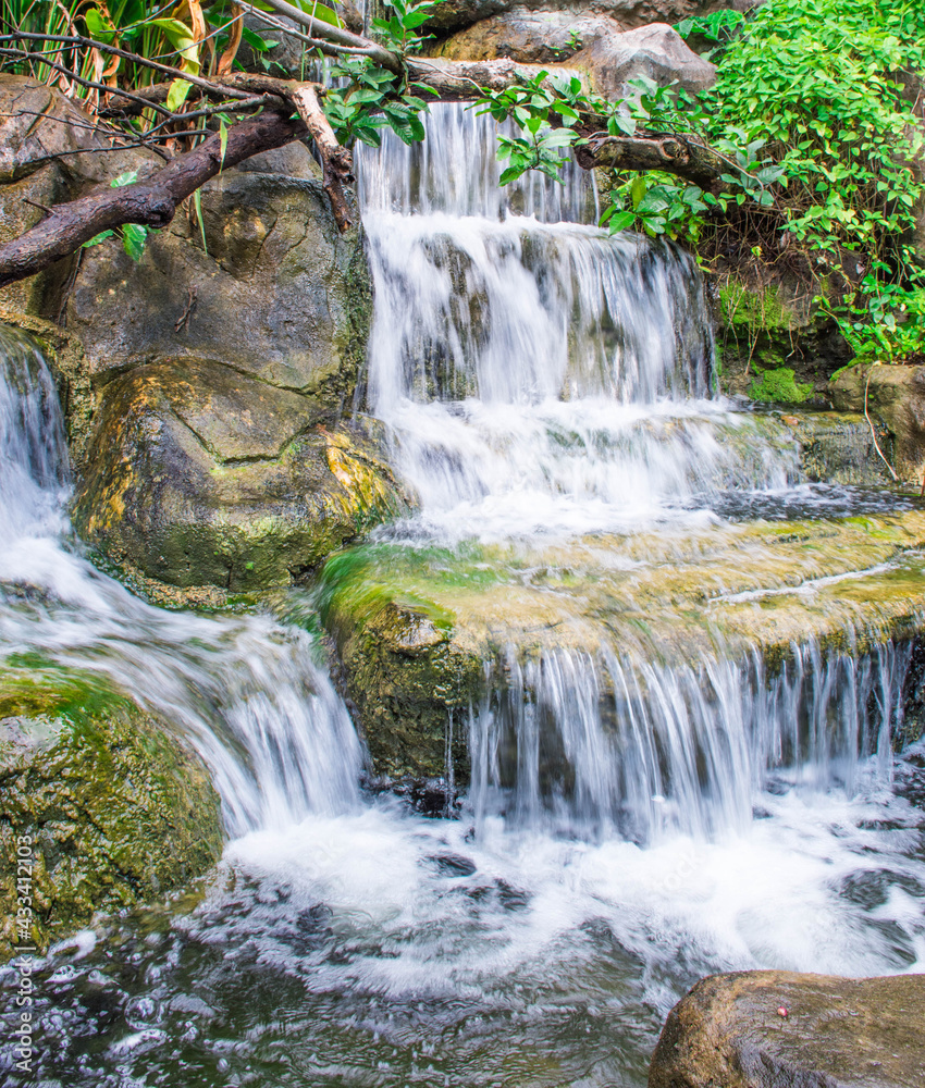 Fototapeta premium waterfall in the forest