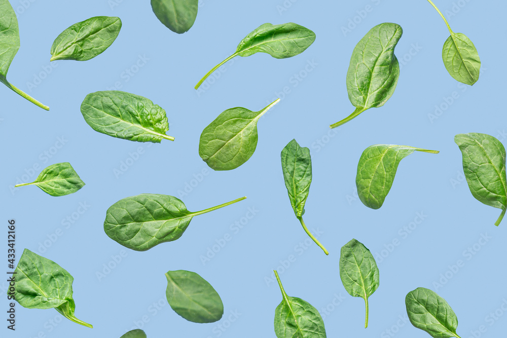 Flying leaves of green spinach on blue background. Food levitation concept
