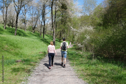 Wanderung im Fr  hling