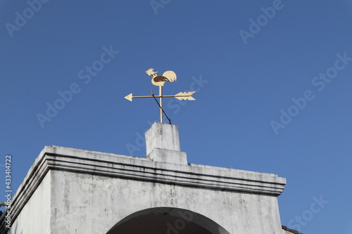 dry breezed chicken on the vintage house design for ancient lifestyle photo