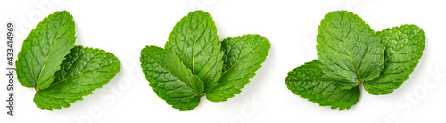 Mint leaf isolated. Fresh mint on white background. Set of mint leaves. Top view. Full depth of field. photo