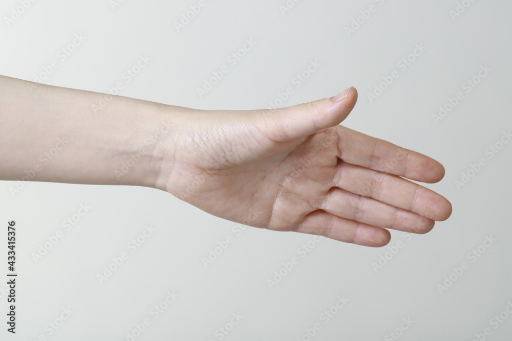 Close up of woman hand offering handshake