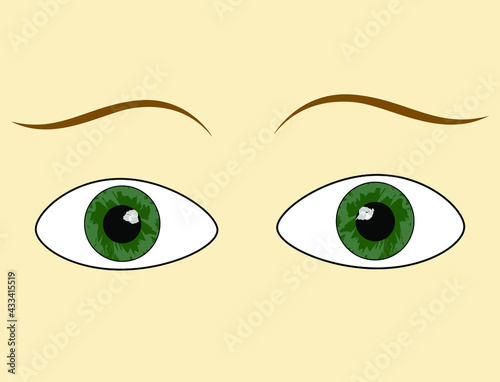 vector eyes and brows illustration, wallpaper and background