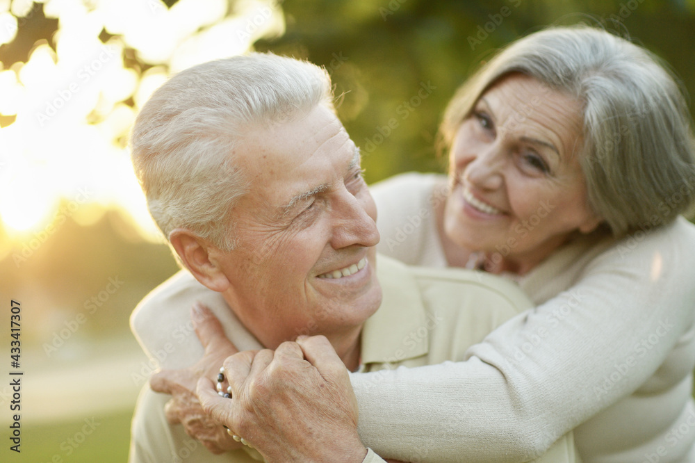 smiling senior couple  in autumn  park