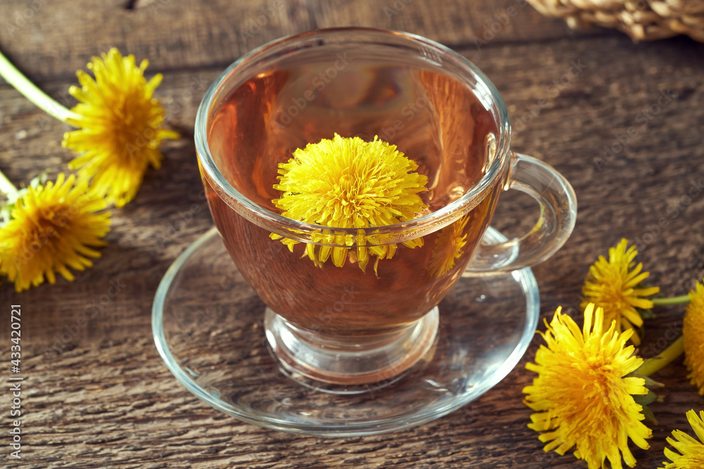 A cup of dandelion tea with dandelion flowers. Herbal medicine concept. A cup of dandelion tea with dandelion flowers. Herbal medicine concept.