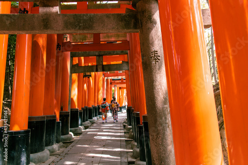 The Senbon Torii (233 meters thousands of vermilion torii gates) of Fushimi Inari-taisha. The trails lead into the forest of the sacred mt. Inari. The tourists wear Kimono are walking on the path photo