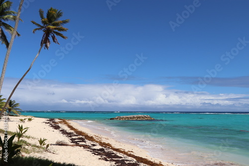 Fototapeta Naklejka Na Ścianę i Meble -  Anse Canot île de Marie Galante Guadeloupe Caraïbes Antilles Françaises