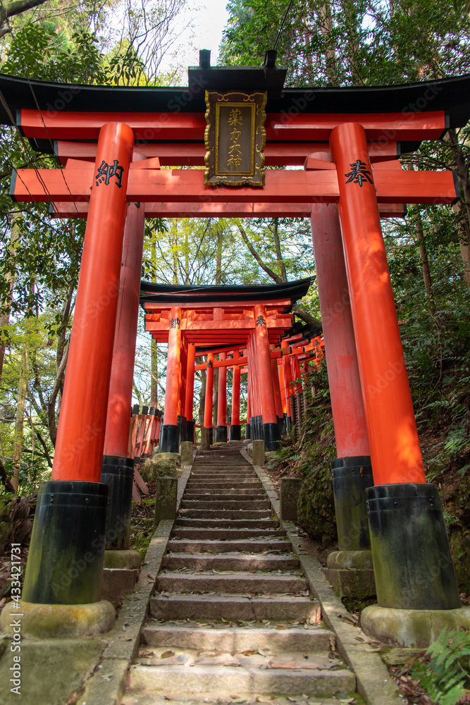 The Senbon Torii (233 meters thousands of vermilion torii gates) of Fushimi Inari-taisha. The trails lead into the forest of the sacred mt. Inari. Translation : Yakuriki-Okami The Senbon Torii (233 meters thousands of vermilion torii gates) of Fushimi Inari-taisha. The trails lead into the forest of the sacred mt. Inari. Translation : Yakuriki-Okami