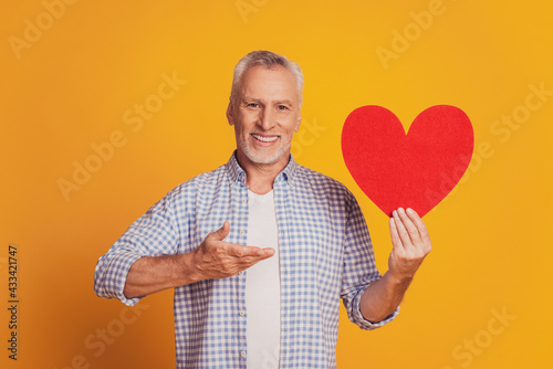 Portrait of attractive grey-haired man hold big red heart point hand