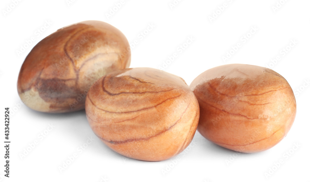 Fresh raw jackfruit seeds on white background Fresh raw jackfruit seeds on white background