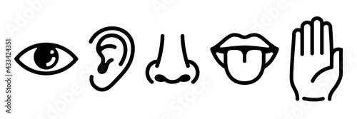 Five human senses icons set. Vision hearing smell touch taste signs