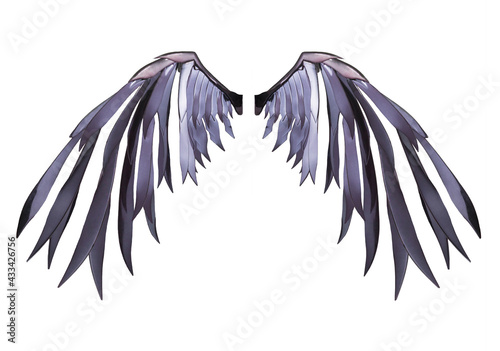 Devil wing plumage isolated on white background with clipping path