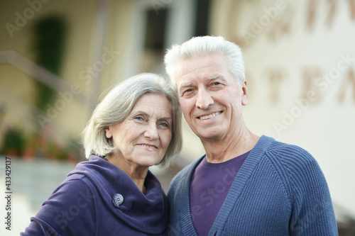 happy  senior couple posing   in  park