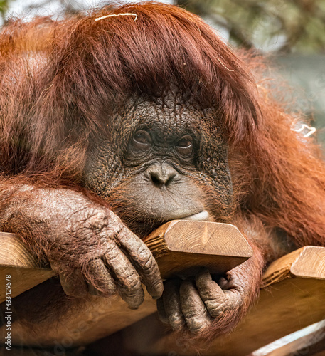 Il n'est pas nécessaire de parler quand on a un regard qui en dit long