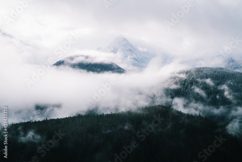 Foggy natural landscape with coniferous forest on hillside