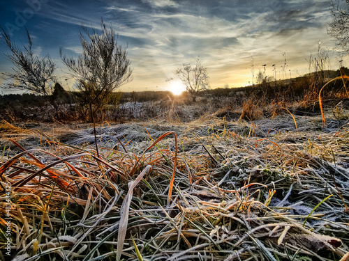 Winterlandschaft