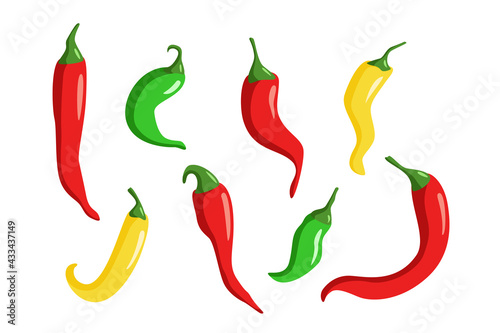 Set of multicolored chili peppers isolated on white. Vector illustration.