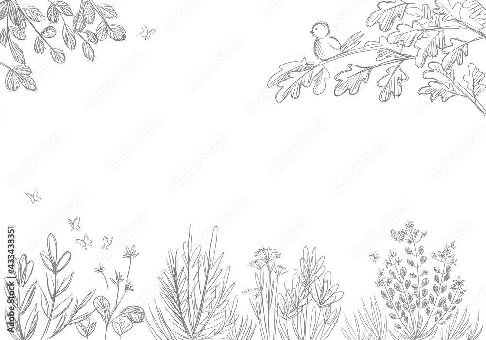 Fototapeta premium Herbal sketch with cute bird drawing