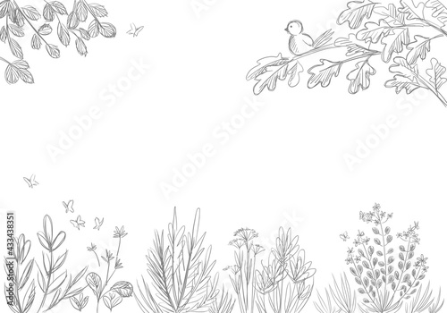 Herbal sketch with cute bird drawing