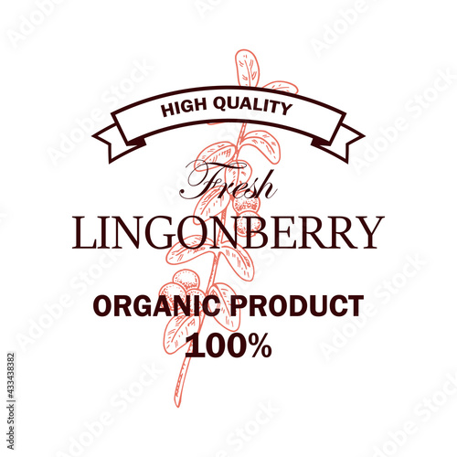 Hand drawn lingonberry logo with branch with leaves and berries isolated on white background. Vector illustration in sketch style