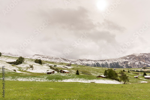 first snow on landscape in Siusi Alps in Trentino Alto Adige in Italy photo