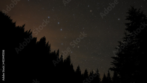Ursa Major constellation seen above a coniferous forest in the night sky. Star watching can be a beautiful outdoor activity while camping.