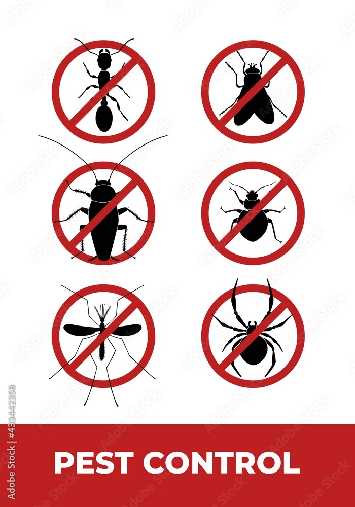 Insect 2024 pest control