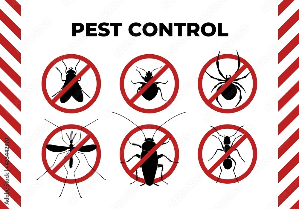 Pest control leaflet design, horizontal orientation. Minimal graphic illustration with red circle prohibition signs of six insect pests: fly, bedbug, spider, mosquito, cockroach, home ant. Pest control leaflet design, horizontal orientation. Minimal graphic illustration with red circle prohibition signs of six insect pests: fly, bedbug, spider, mosquito, cockroach, home ant.