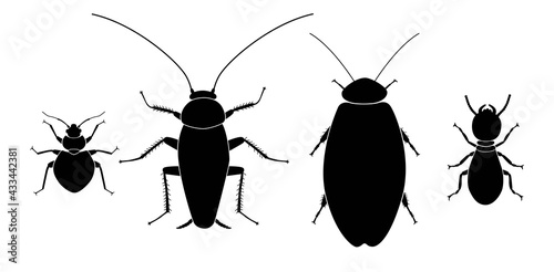 Vector collection of 4 insects silhouettes. The bedbug, the cockroach, the giant cave cockroach, termite. Minimal graphic illustration.