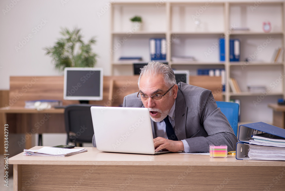 Old male employee working in the office Old male employee working in the office