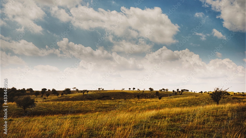 Fototapeta premium landscape with clouds