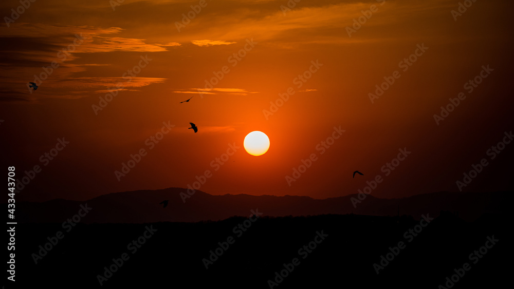 sunset with a birds
