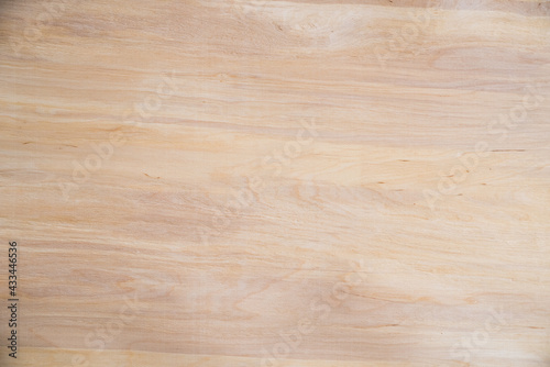 Close-up texture of natural birch veneer.