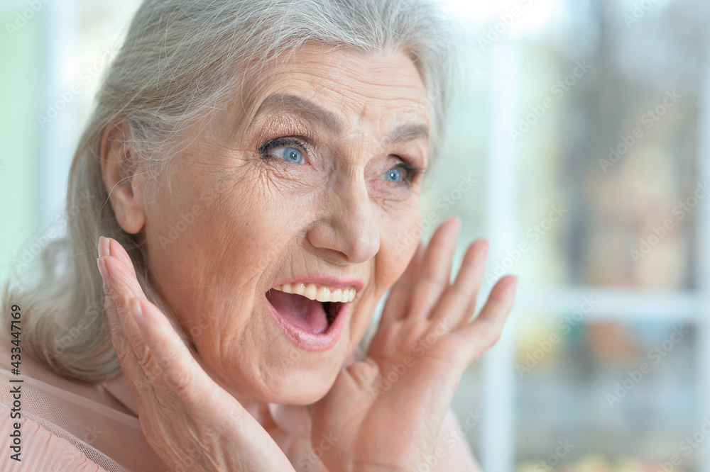 portrait of happy senior woman portrait of happy senior woman