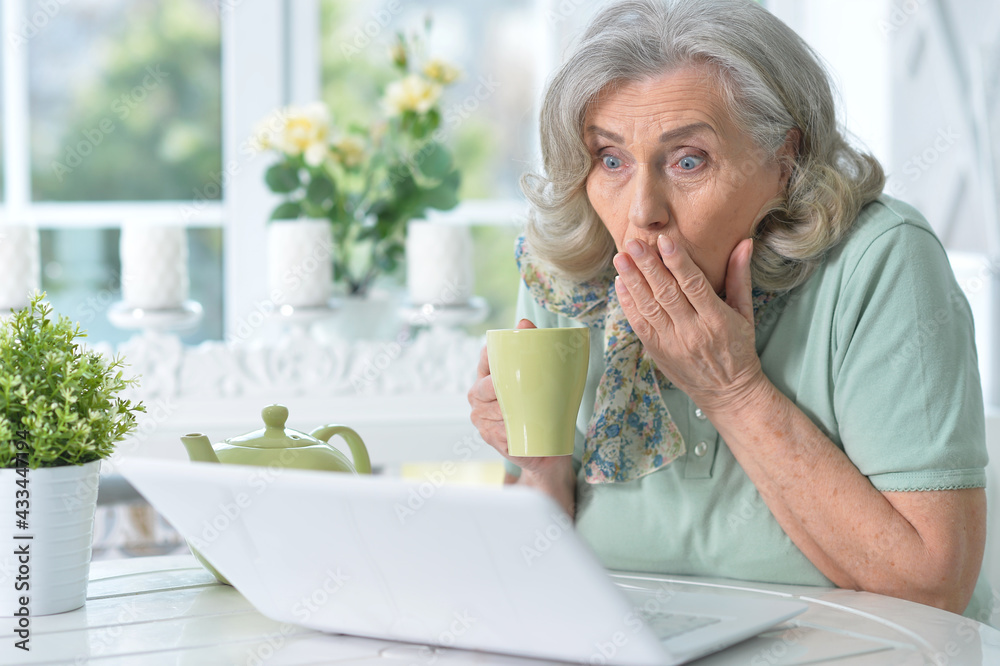 Portrait of beautiful senior woman sitting at table with laptop Portrait of beautiful senior woman sitting at table with laptop