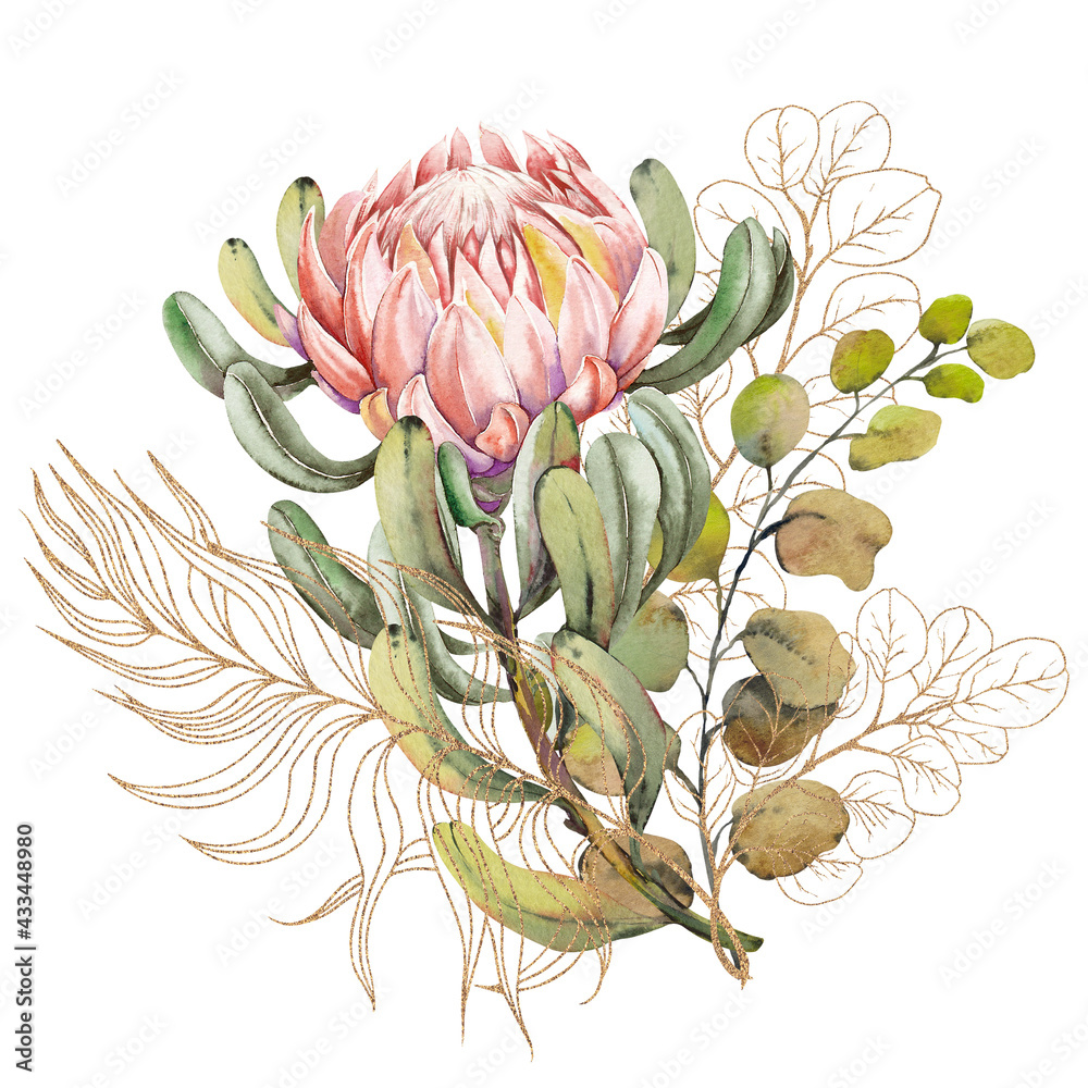 Exotic protea flower bouquet on white background. - obrazy, fototapety, plakaty 