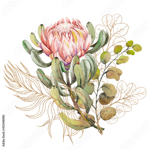 Exotic protea flower bouquet on white background.