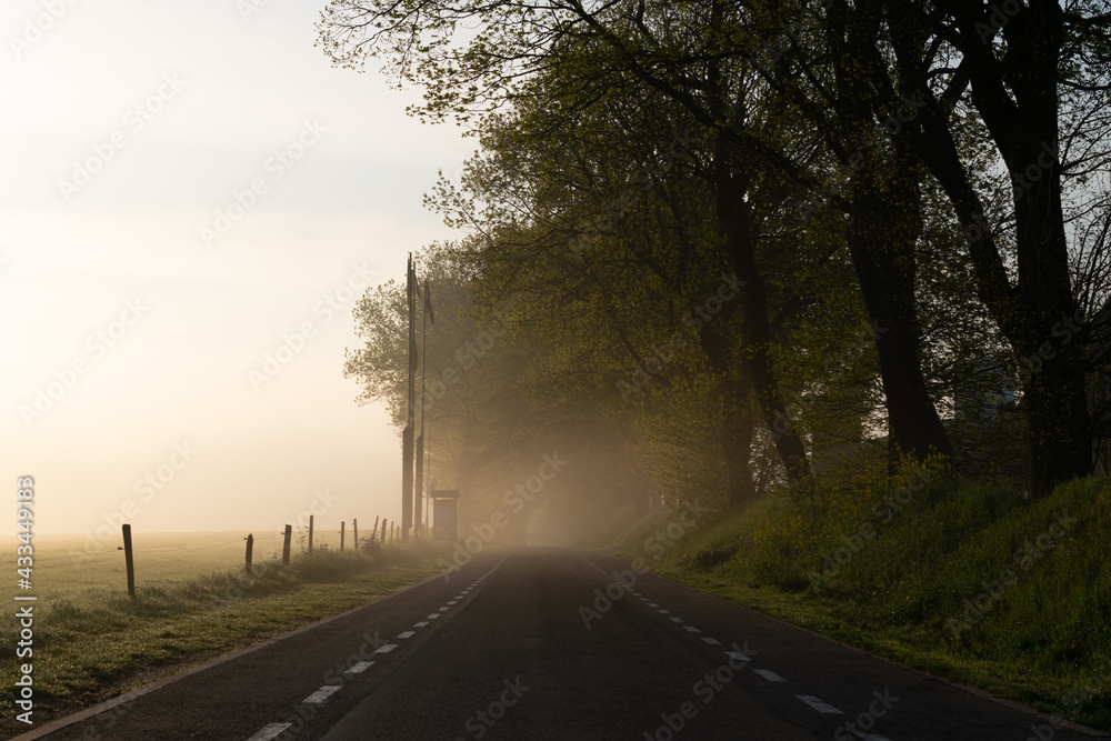 Dutch street photographed during the morning