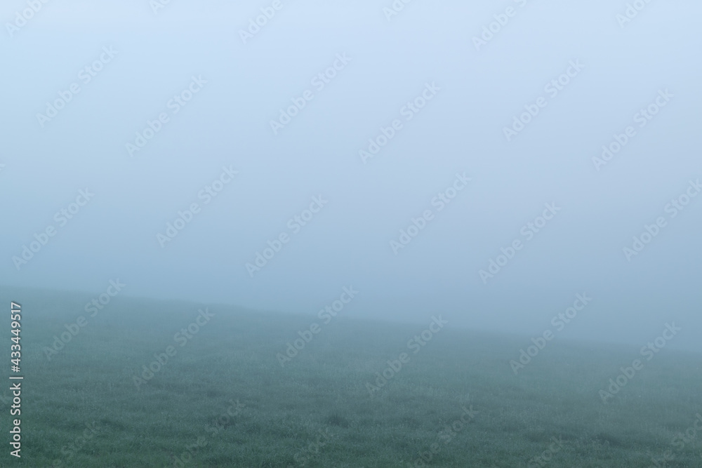 Fototapeta premium Foggy grass background image