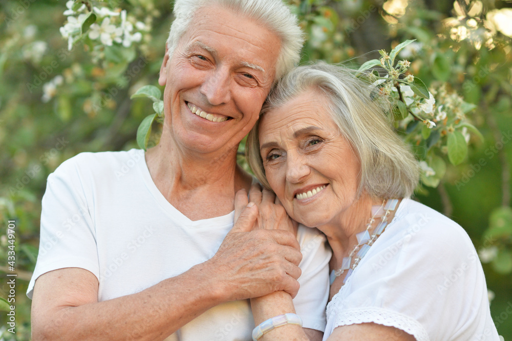 portrait of beautiful senior couple posing  in the park