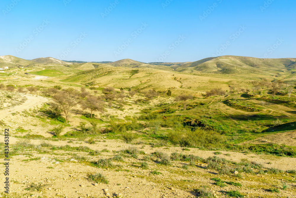 Rural landscape of the Yatir region